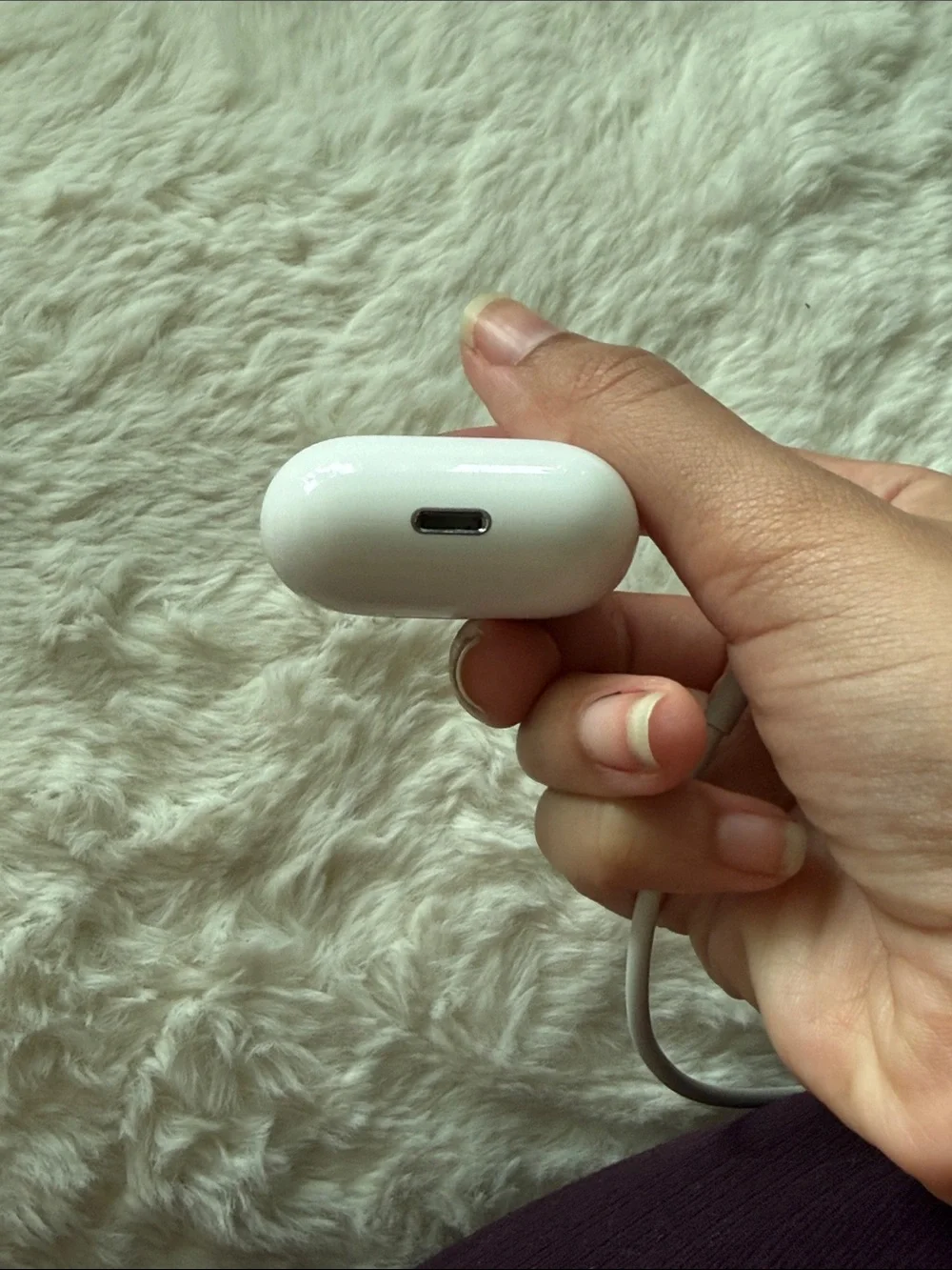 Apple compact true